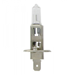 AMPOULE H1 12V 55W