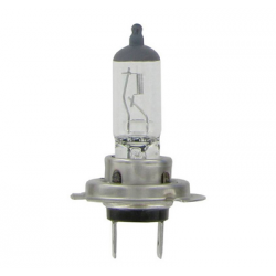 AMPOULE H7 12V 55W