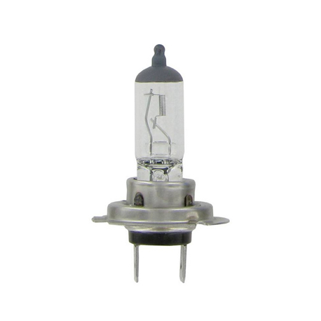 AMPOULE H7 12V 55W