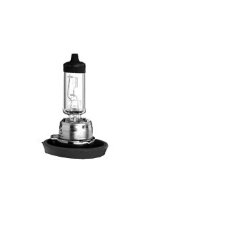 AMPOULE H11 24V 70W