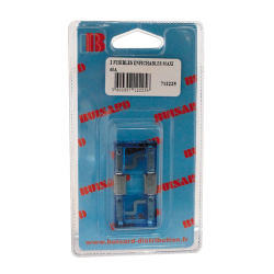 2 FUSIBLES ENFICHABLES MAXI 60A BLEU
