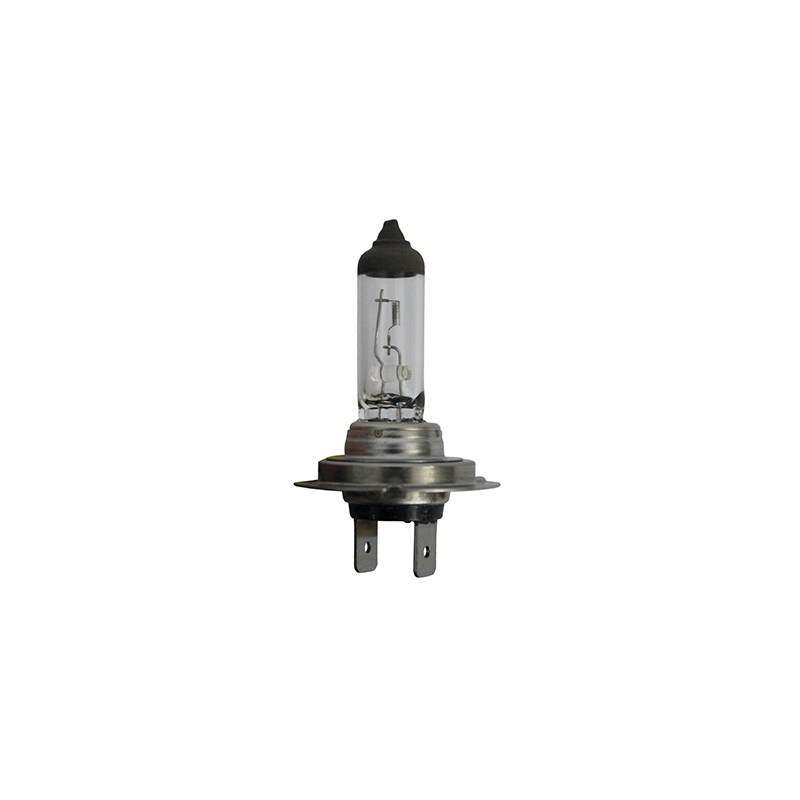 AMPOULE H7 24V 70W