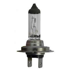 AMPOULE H7 12V 55W