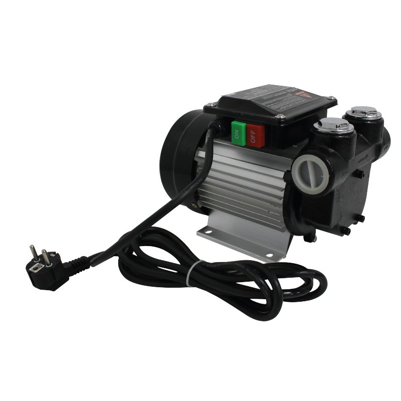 Pompe électrique 220v Pour Fontaine De Nettoyage