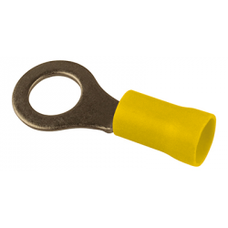 6 COSSES A OEIL JAUNE D.10