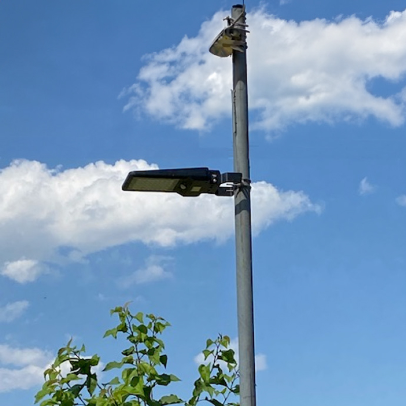 Lumière solaire DEL de style lampadaire avec détecteur de