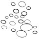 KIT JOINTS OR POUR POMPE AR160 BP