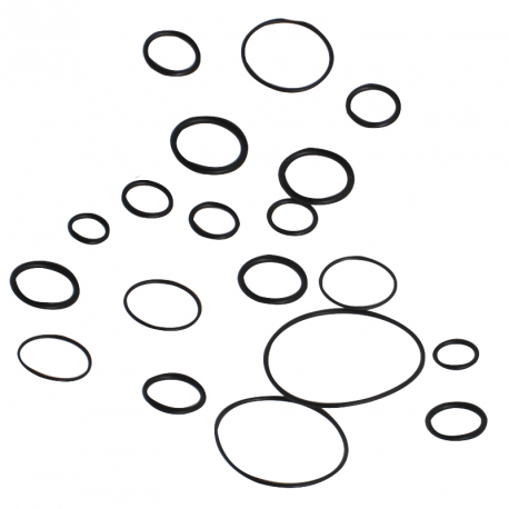 KIT JOINTS OR POUR POMPE AR160 BP