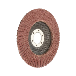 DISQUE A LAMELLES 125 MM GRAIN 40